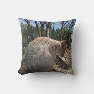 Australian Quokka Oh So Tired, Cushion