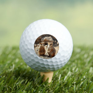 Australian Quokka Twins, Golf Balls