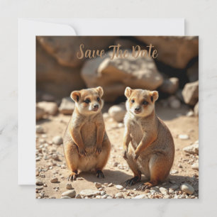 Australian Quokka Twins, Save The Date