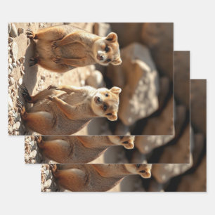 Australian Quokka Twins, Wrapping Paper Sheet