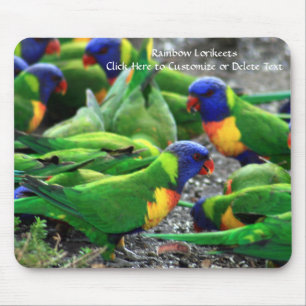 Australian Rainbow Lorikeets Mouse Pad