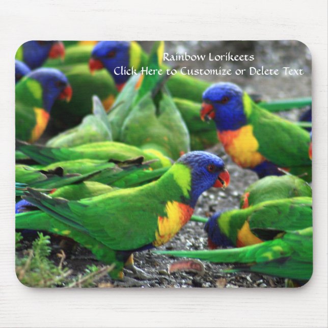 Australian Rainbow Lorikeets Mouse Pad (Front)