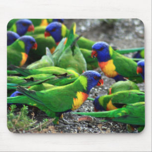 Australian Rainbow Lorikeets Mouse Pad
