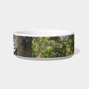 Australian Rainforest Eucalyptus Gum Trees Bowl