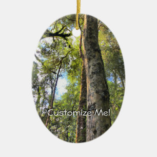 Australian Rainforest Eucalyptus Gum Trees Ceramic Ornament