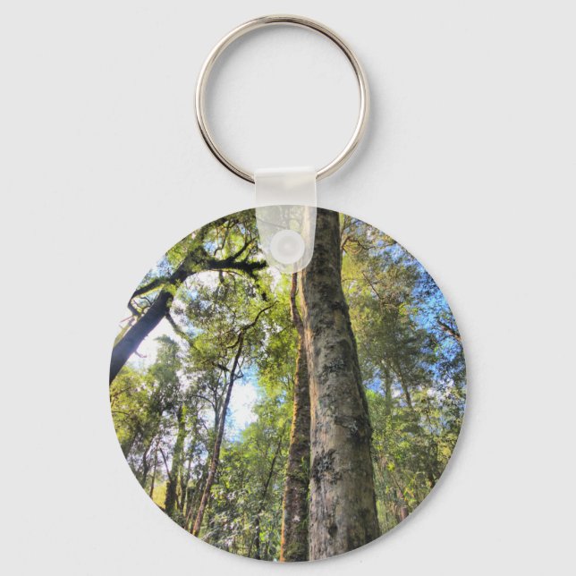 Australian Rainforest Eucalyptus Gum Trees Key Ring (Front)