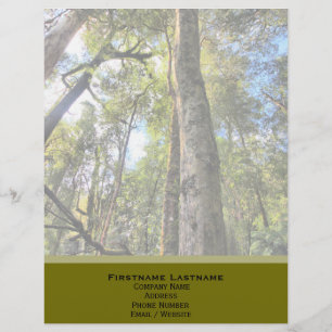 Australian Rainforest Eucalyptus Gum Trees Letterhead