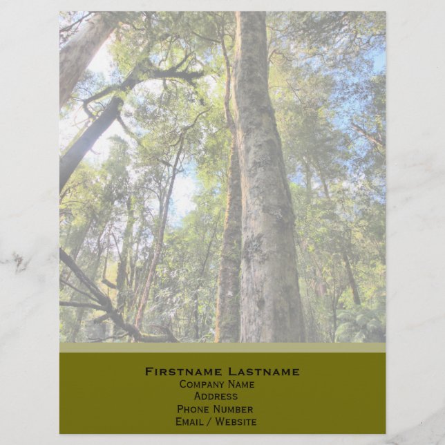 Australian Rainforest Eucalyptus Gum Trees Letterhead (Front)