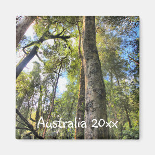 Australian Rainforest Eucalyptus Gum Trees Magnet