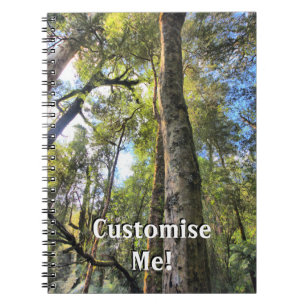 Australian Rainforest Eucalyptus Gum Trees Notebook