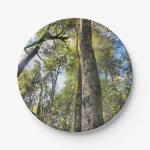 Australian Rainforest Eucalyptus Gum Trees Paper Plate