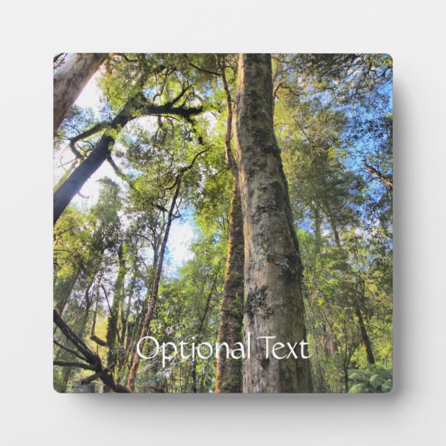 Australian Rainforest Eucalyptus Gum Trees Plaque (Front)