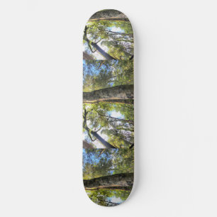 Australian Rainforest Eucalyptus Gum Trees Skateboard