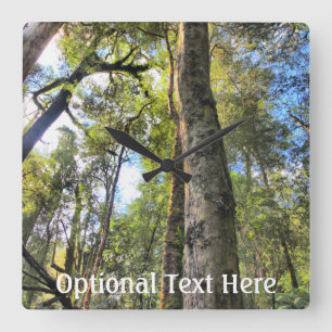 Australian Rainforest Eucalyptus Gum Trees Square Wall Clock