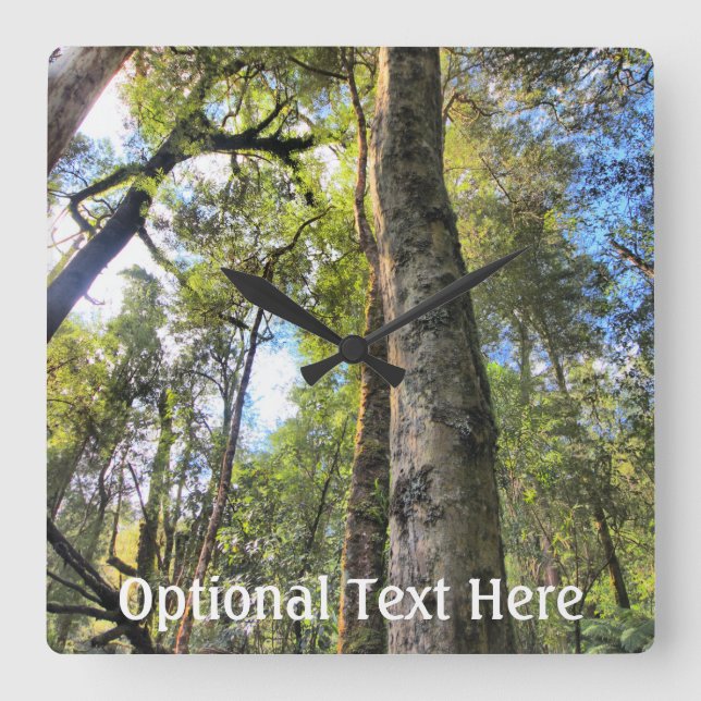 Australian Rainforest Eucalyptus Gum Trees Square Wall Clock (Front)