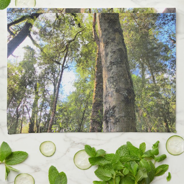 Australian Rainforest Eucalyptus Gum Trees Tea Towel (Folded)