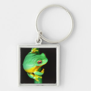 Australian Red Eye Treefrog, Litoria chloris, Key Ring