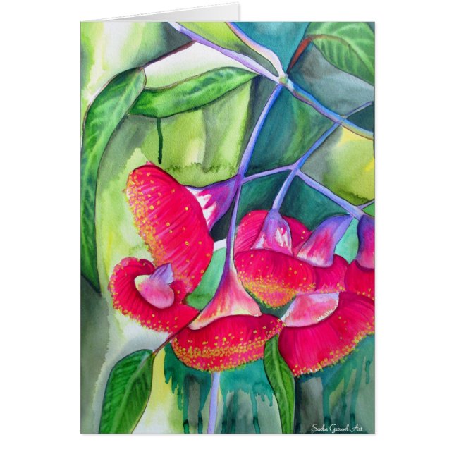 Australian red flowering gumnuts watercolor art (Front)