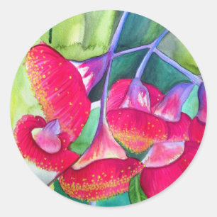 Australian red flowering gumnuts watercolor art classic round sticker