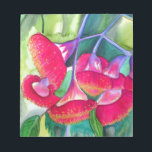 Australian red flowering gumnuts watercolor art notepad<br><div class="desc">This design is from an original watercolor painting by Australian artist Sacha Grossel of beautiful pink flowering Gumnuts in a cool, green Eucalyptus tree. This native Australian flower is noteable for its bright colour and is a distinctive feature of the native Australian Eucalyptus tree. This painting shows the cool greens...</div>