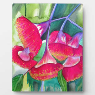 Australian red flowering gumnuts watercolor art plaque