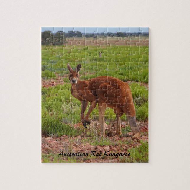 Australian red kangaroo jigsaw puzzle (Vertical)