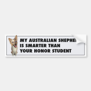 Australian Red Merle Shepherd Honour ARMS Bumper Sticker
