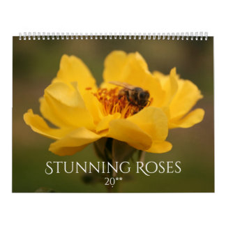 Australian Roses Stunning Photography Calendar