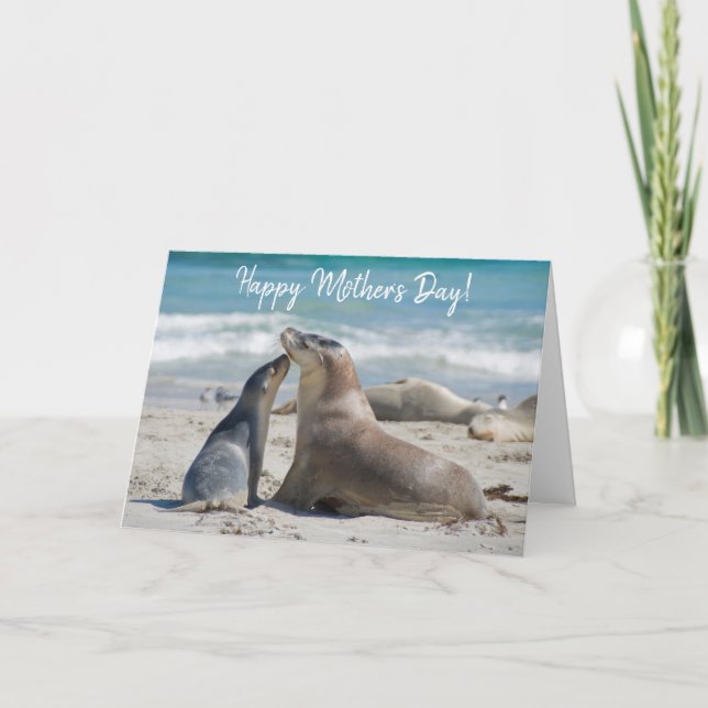 Australian Sea Lion and cute Baby, Mother's Day Card (Front)