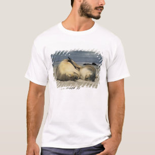 Australian Sea Lions, Neophoca cinerea), T-Shirt