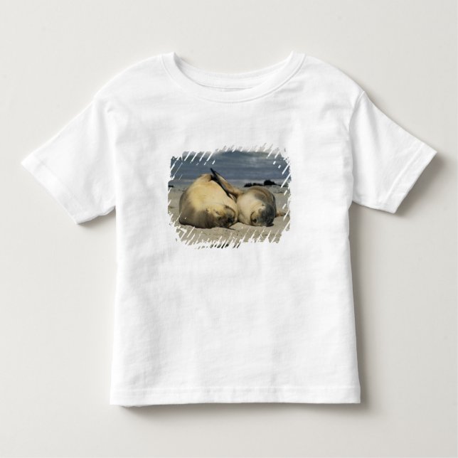 Australian Sea Lions, Neophoca cinerea), Toddler T-Shirt (Front)