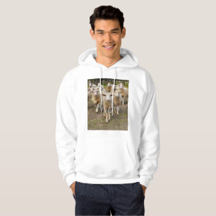Australian Sheep Come Marching In Hurrah, Hoodie