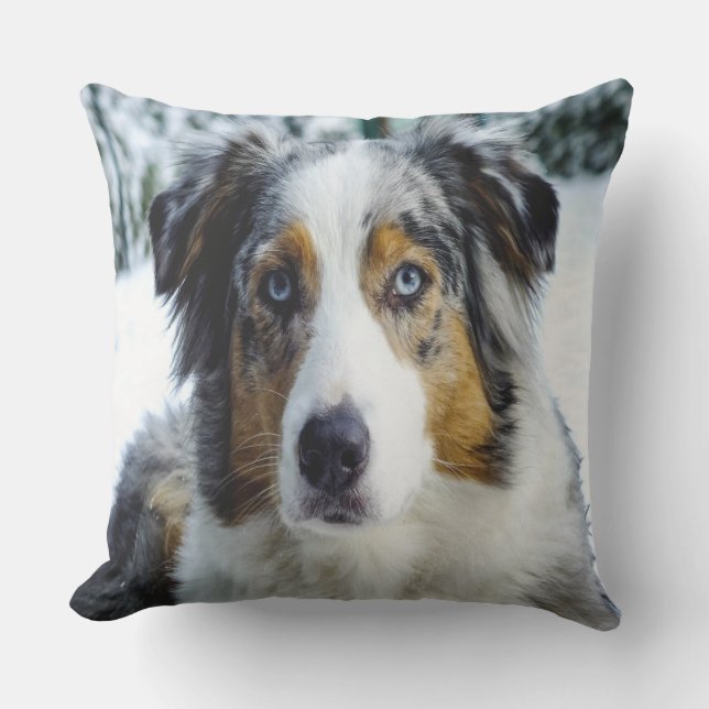 Australian Shepard In Snow Cushion (Front)