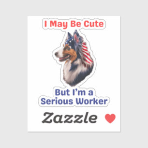 Australian Shepherd