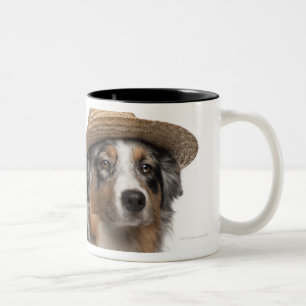 Australian Shepherd (10 months old) wearing a Two-Tone Coffee Mug