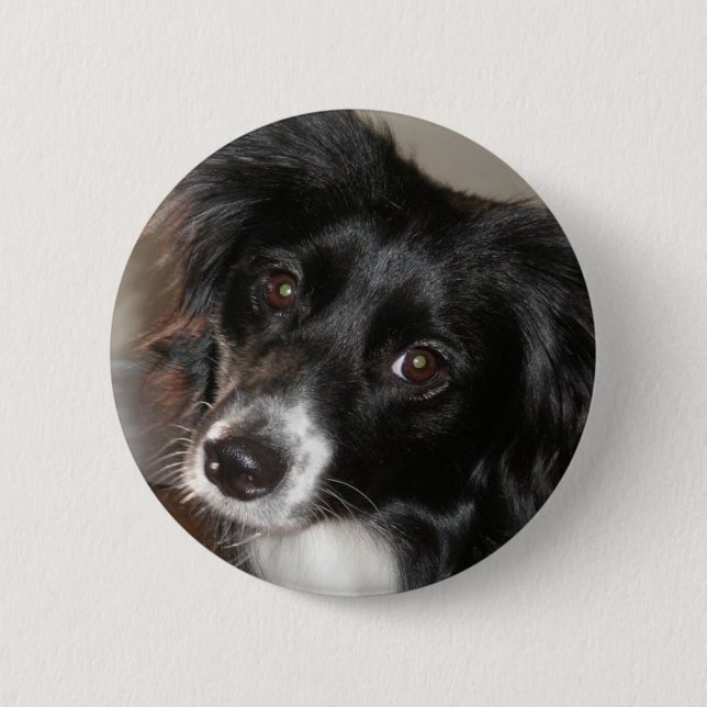 Australian Shepherd 6 Cm Round Badge (Front)