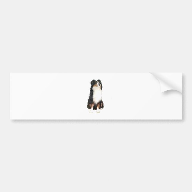 Australian Shepherd (A) - Tri Colour Bumper Sticker (Front)