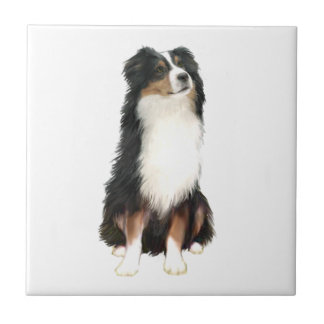 Australian Shepherd (A) - Tri Colour Ceramic Tile
