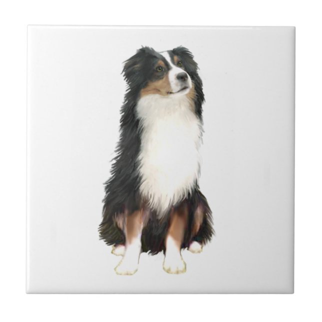 Australian Shepherd (A) - Tri Colour Ceramic Tile (Front)