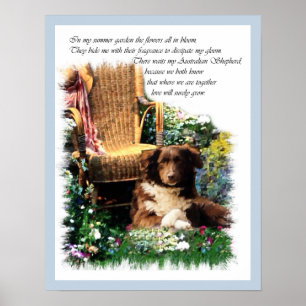 Australian Shepherd Art Print