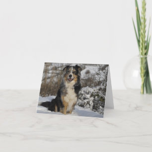 Australian Shepherd Aussie Dog Hello Love Card