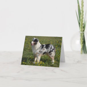 Australian Shepherd Aussie Dog Hello Love Card