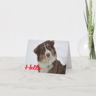 Australian Shepherd Aussie Dog Hello Love Card