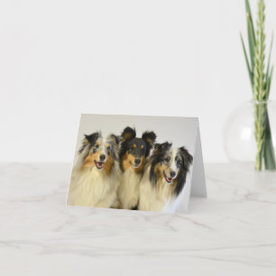 Australian Shepherd Aussie Dog Hello Love Card