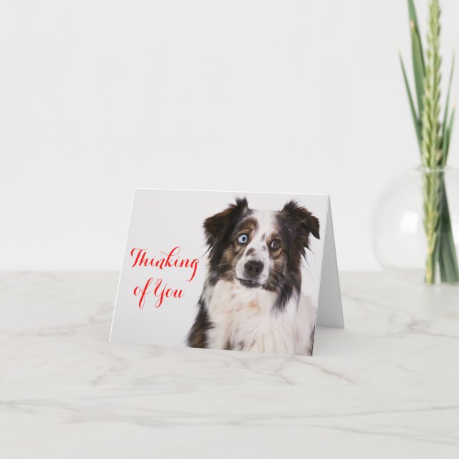 Australian Shepherd Aussie  Dog  Thinking Of You Card (Front)