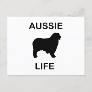 australian shepherd aussie life postcard