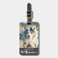 Australian Shepherd Aussie Mum Dog's Photo