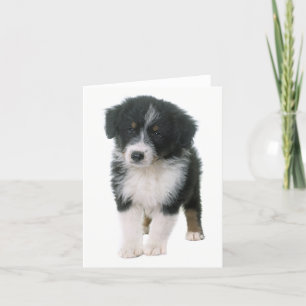 Australian Shepherd Aussie Puppy Dog  Hello Love Card