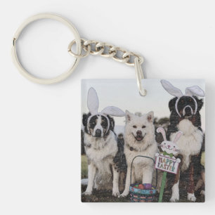 Australian shepherd, Aussie, Shepherd Key Ring