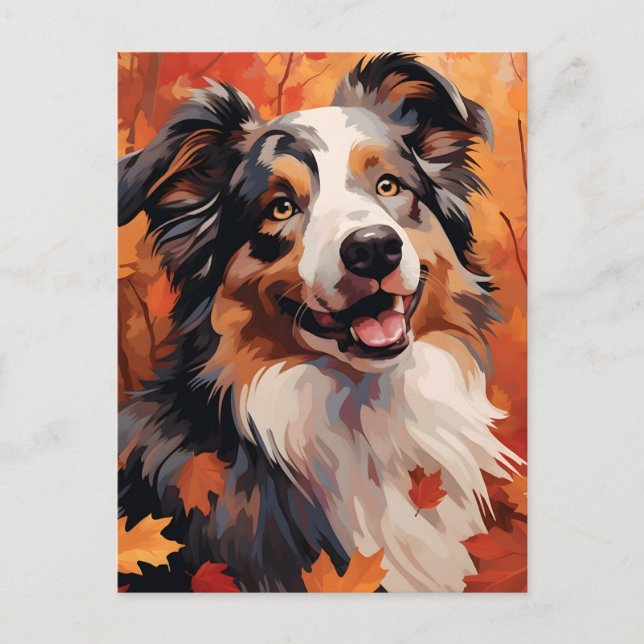 Australian Shepherd Autumn Thanksgiving  Postcard (Front)